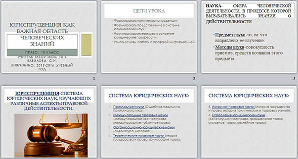 Презентация по обществознанию Юриспруденция как важная область человеческих знаний
