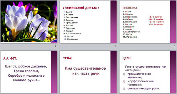 презентация по русскому языку на тему Имя существительное