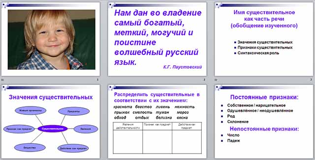 Разработка и презентация по русскому языку по теме Имя существительное