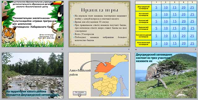Разработка и презентация урока по географии по теме Игра - Заповедники Хабаровского края