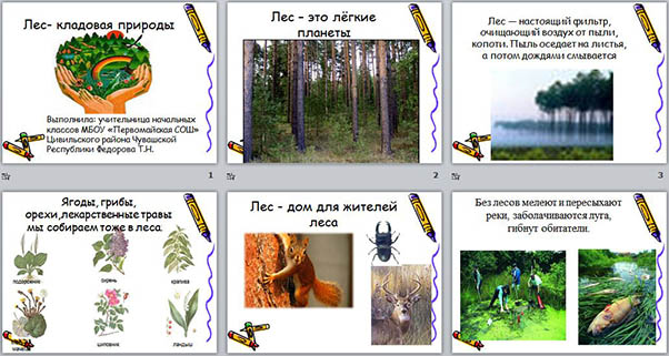 Картинка кладовая природы