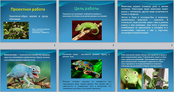 Тест хамелеон 7. Презентация проектной задачи на тему мир глазами животных.