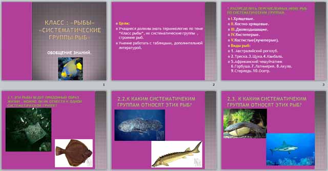 Основные группы рыб. Систематические группы рыб. Основные систематические группы рыб с примерами. Презентации о систематических группах рыб 7 класс. Латимерия рыба.