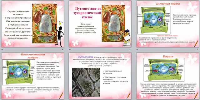 Разработка и презентация по биологии по теме Путешествие по эукариотической клетке