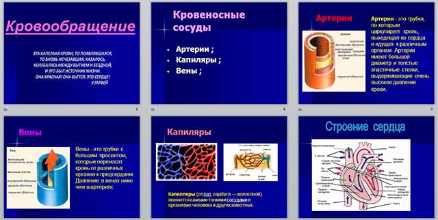 Презентация к уроку биологии по теме Кровообращение