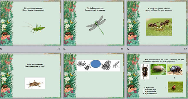 Презентация для начальных классов Насекомые - часть живой природы