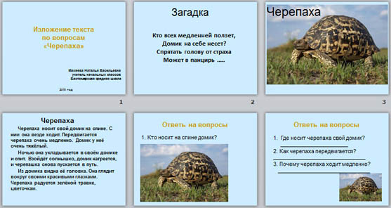 Презентация по русскому языку Изложение Черепаха
