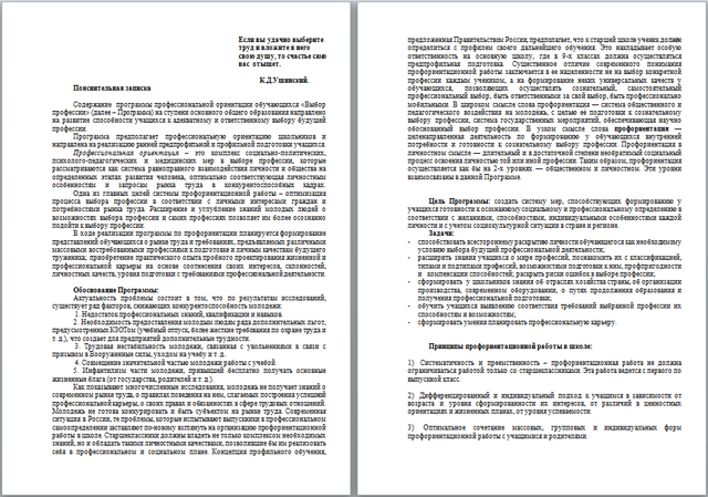 Программа профессиональной ориентации на ступени основного общего образования Выбор профессии