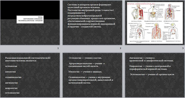 Презентация к уроку биологии на тему Внутреннее строение человека. Системы органов