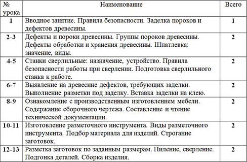 Особенности трудового обучения в специальной (коррекционной) школе viii вида