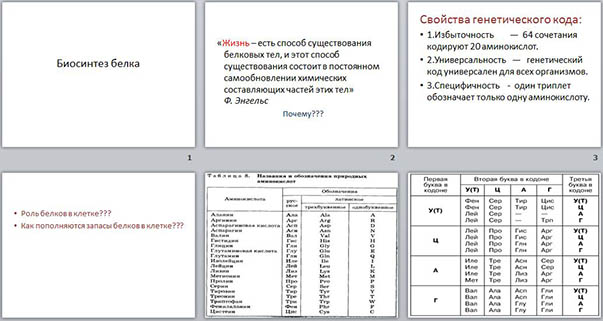 Тест белки. Тест биология 9 класс Биосинтез белка. Тест Биосинтез белка 9 класс с ответами. Тесты по биологии Биосинтез белка ответы. Биосинтез белков 10 класс тест.