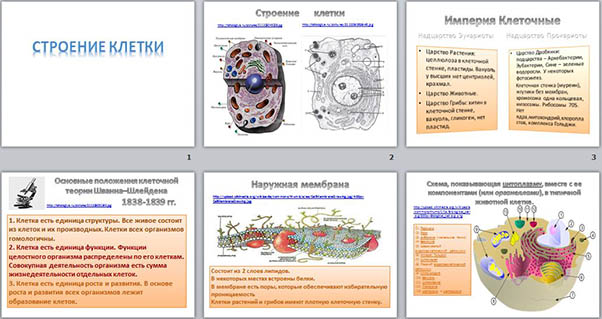 Клетка конспект биология