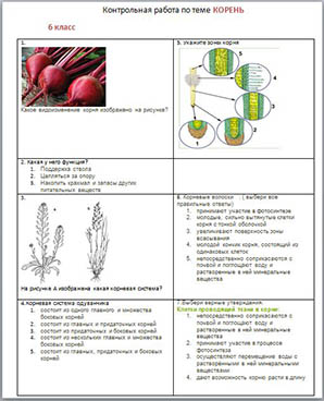 Тема семя биология 6 класс тест