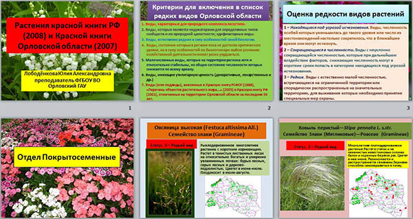Презентация по биологии Растения Красной книги РФ (2008) и Красной книги Орловской области (2007)