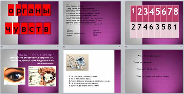 Презентация по теме Органы чувств