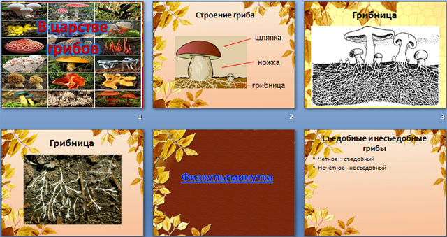 презентация по природоведению для начальных классов по теме В царстве грибов с элементами интеграции с уроком математики Закрепление вычислительных навыков