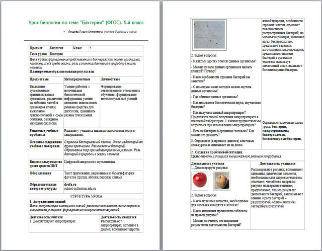 Конспект урока по биологии по теме Бактерии