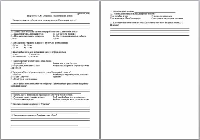 Проверочная работа по капитанской дочке 8 класс