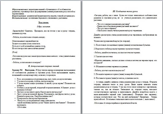 Конспект урока по технологии на тему Размножение розы черенками