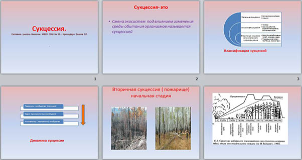 Сукцессия презентация 11 класс