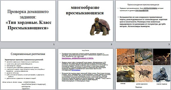 Презентация по биологии на тему Многообразие пресмыкающихся