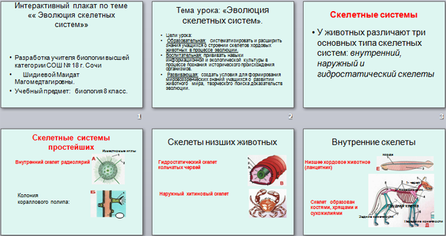презентация по биологии Эволюция скелетных систем