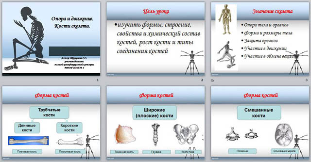 Опора и движение 8 класс биология презентация