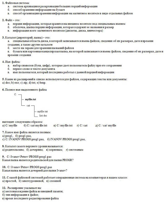 Проверочная работа по информатике Файлы. Файловая система