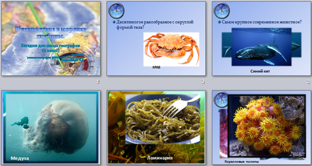 Презентация по географии Путешествие в морские глубины