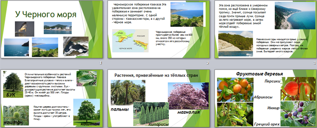 Черноморское побережье 4 класс окружающий мир презентация школа россии плешаков