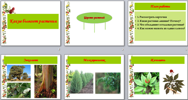 Презентация к уроку окружающего мира Какие бывают растения