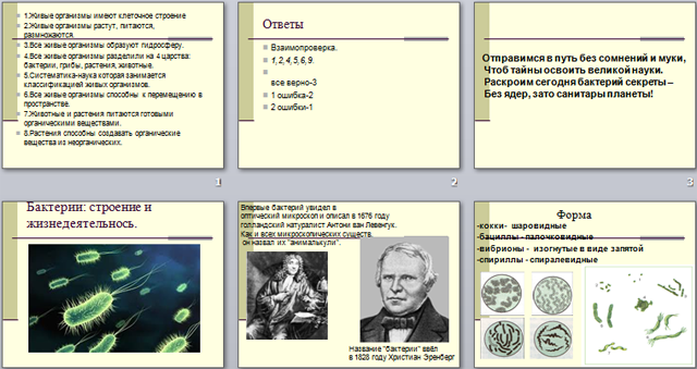 Презентация по биологии Бактерии: строение и жизнедеятельнось