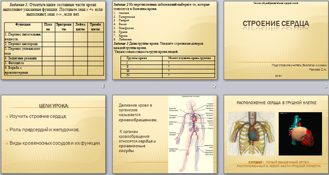 презентация по биологии Строение сердца