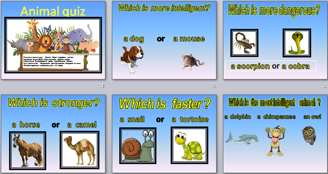 Презентация по английскому языку Animal quiz