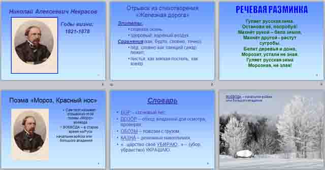 Презентация по литературе по теме Николай Алексеевич Некрасов