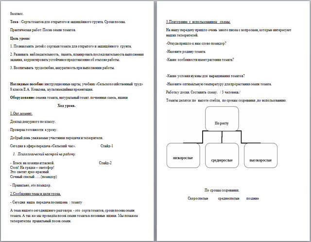Разработка урока по технологии Сорта томатов для открытого и защищённого грунта. Сроки посева