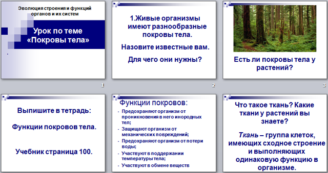 Покровы тела 8 класс биология презентация