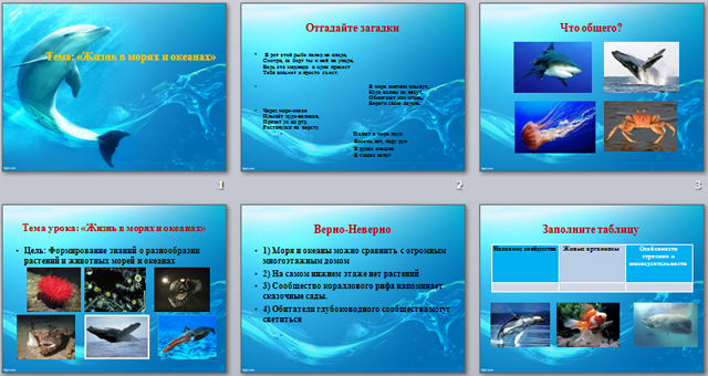 презентация по природоведению Жизнь в морях и океанах