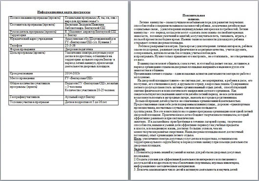 Программа дворовой площадки Я, ты, он, она – народов дружная семья!