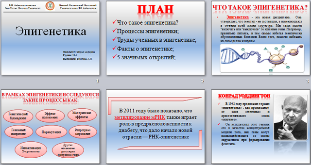 Презентация по эпигенетике