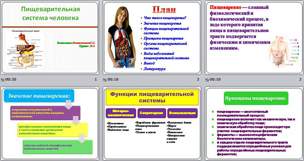 Пищеварительная система и современное питание школьников проект