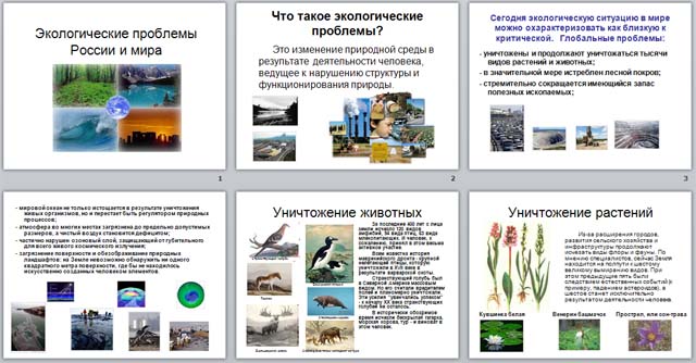 Презентация к уроку биологии на тему Экологические проблемы России и мира