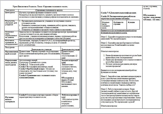 Строение головного мозга (разработка)