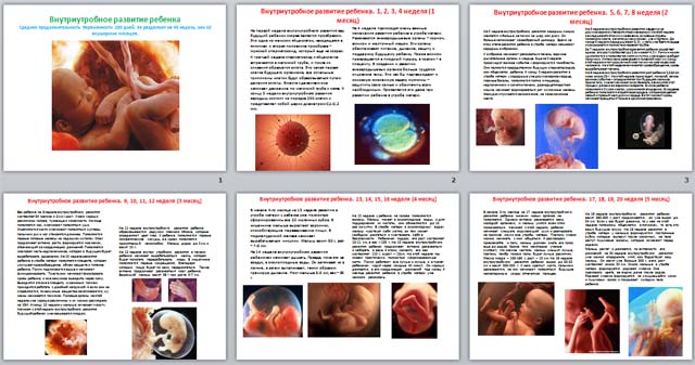 Внутриутробное развитие ребёнка (презентация)
