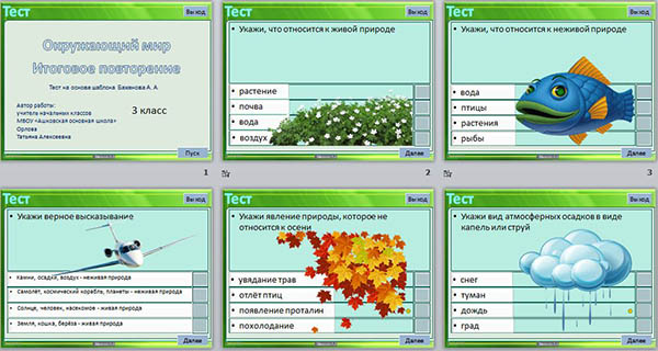 Тесты природа 3 класс. Интерактивная итоговая контрольная работа.