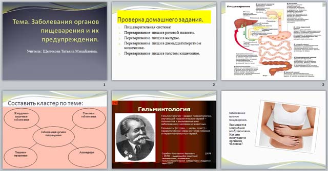 Заболевание органов пищеварения 8 класс презентация