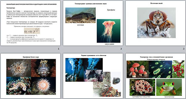 Температура - важнейший абиотический фактор. Адаптация живых организмов к температуре (презентация)