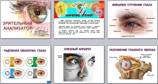 Понятие об анализаторах зрительный анализатор презентация 8 класс пасечник