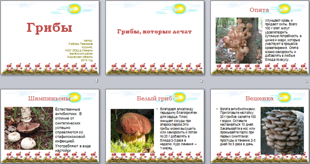 Грибы (презентация по биологии)