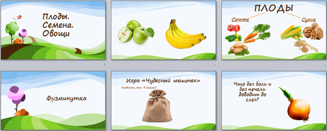 Плоды. Семена. Овощи (презентация)